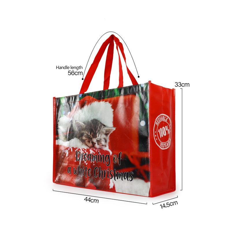 Promotional packaging Reusable Eco-friendly polypropylene laminated non woven bag shopping tote bag