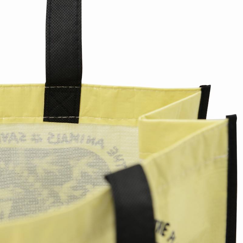 Environmentally Friendly and Recyclable RPET Non-Woven Grocery Tote Bags with Flexo Printing and Body Material Handles